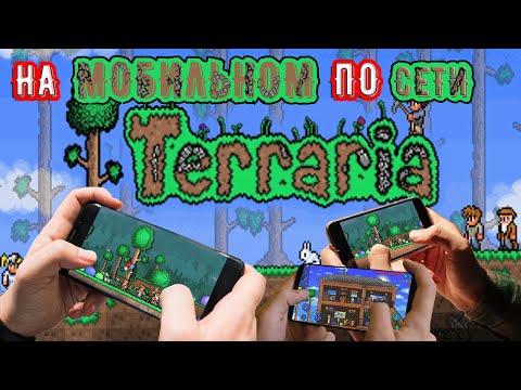 Как играть в Terraria на МОБИЛЬНОМ по сети (НА РАСТОЯНИЕ)