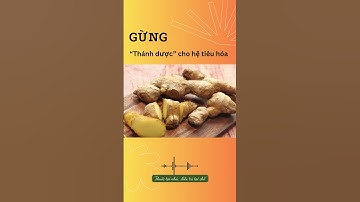 Gừng - thánh dược cho hệ tiêu hóa  #shorts #youtubeshorts