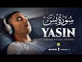 BEST Surah Yasin (Yaseen) سورة يس | Relaxing Most Beautiful Voice | Zikrullah TV
