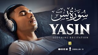 Best Surah Yasin (Yaseen) سورة يس | Relaxing Most Beautiful Voice | Zikrullah Tv