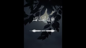 ماهر المعيقلي - سورة نوح تلاوة خاشعة