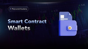 What are Smart Contract Wallets?