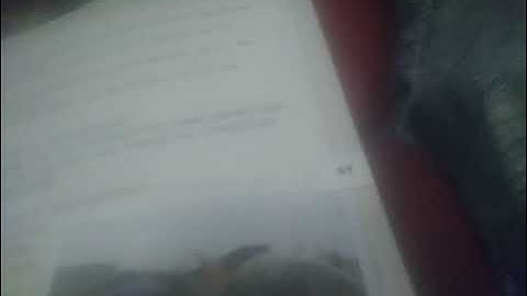 dino desean field guide pt 2