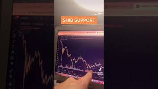 : SHIBA INU NEW SUPPORT FORMING?