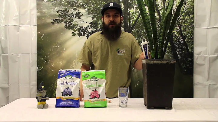 How to Test and Adjust the pH Level of a Soil Plant