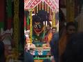 Rath Yatra Status ||Odia Jagannath Bhajan Status Full Screen ||Jagannath Status||#shorts#rathyatra