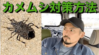 【カメムシ】臭いニオイを放つ不快害虫の対策！そのニオイをとる裏技も紹介します