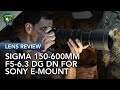 Just how good is the SIGMA 150-600mm F/5.6-6.3 DG DN Sport on the Sony Alpha 1?