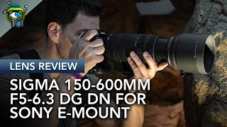 Just how good is the SIGMA 150-600mm F/5.6-6.3 DG DN Sport on the Sony Alpha 1?