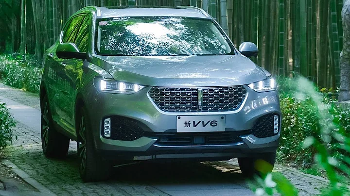 WEY VV6 SUV 2020 - interior Exterior and Drive - DayDayNews