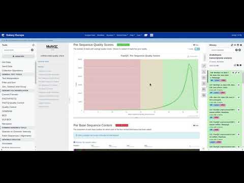 Video: Gjeldende Eksperimentelle Strategier For Intracellulær Målidentifikasjon Av MicroRNA