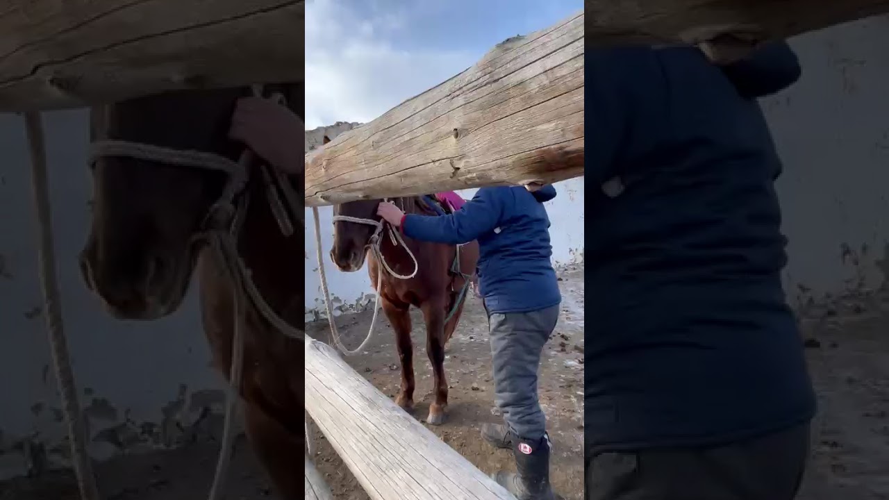 9 января 2026 г.