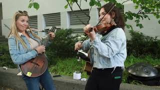 A Fiddle in the Forest- 2025 Folklife Festival Seattle 4/4