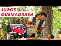 Nuevos Jugos Quemagrasa | 📺 Chef O TV