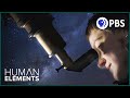 Exploring the Universe: Stars and Their Life Cycle