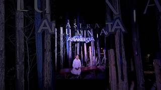 This Night Walk Feels Like Another Galaxy 😳✨ #shorts #tennessee #anakeesta #smokymountains