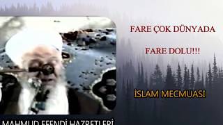 MAHMUD EFENDİ HZ. \