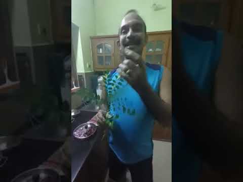 How to Prepare curry leaves chutney I Rajesh Kumar