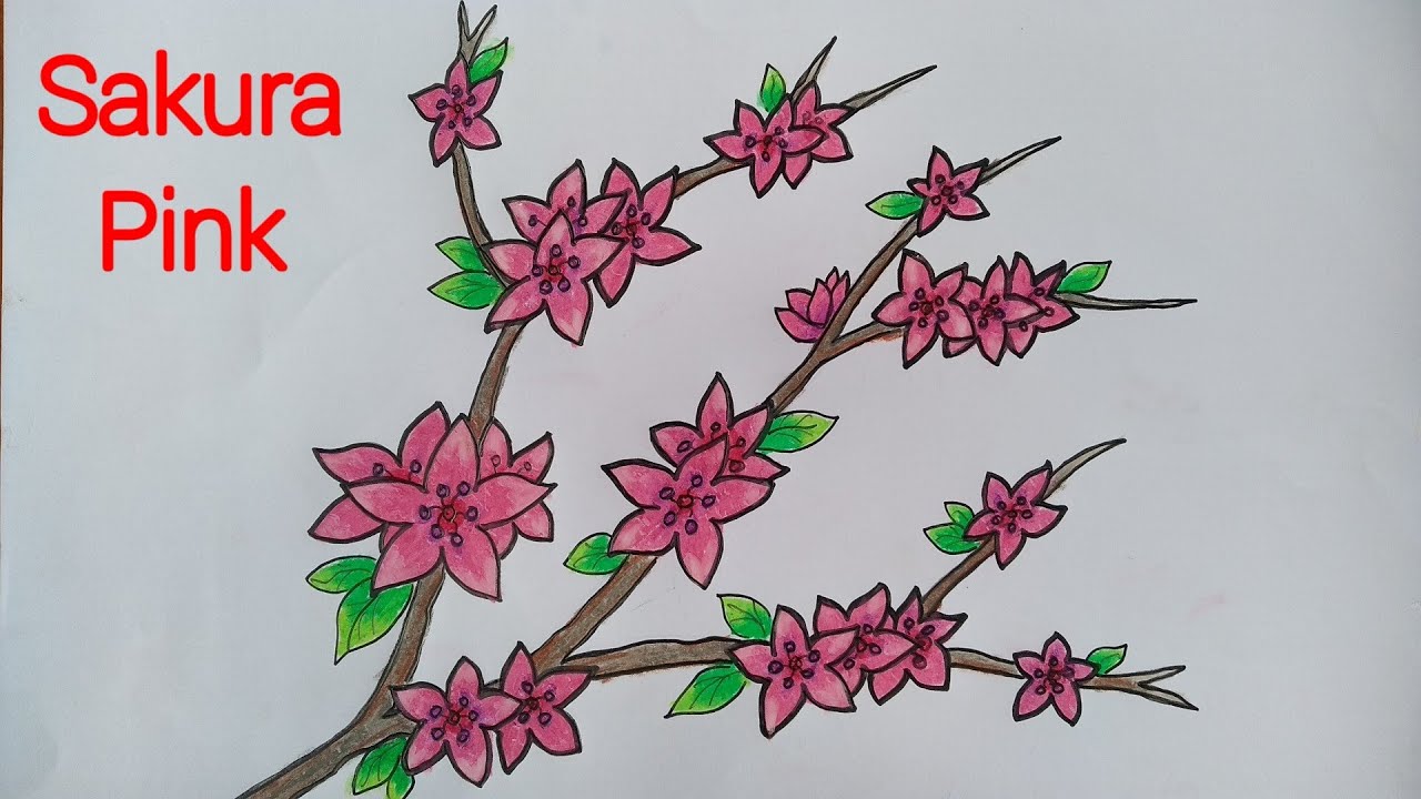 Menggambar Bunga Sakura Cara Menggambar Bunga Yang Mudah Youtube