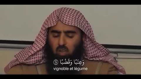 سورة عبس بصوت الشيخ محمد اللحيدان|Surah Abasa Muhammad Al-Luhaidan 
