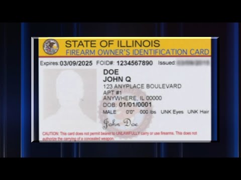 New law will help Illinois clear FOID card backlog, ISP director says