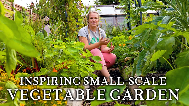Massively Productive Small-Scale Suburban Vegetabl...