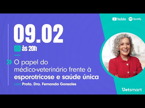 Vídeo: Pergunte a um veterinário: Meu cão foi diagnosticado com espondilose. O que é isso? O que eu faço?