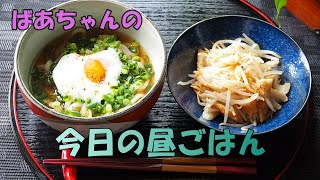 【昼食】「今日の昼ごはん：ネギうどん・もやしのナムル」時短・簡単・節約料理