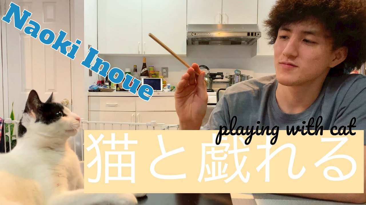 井上直樹 Naoki Inoue ただひたすら猫と戯れる W Eng Subtitles Youtube 井上直樹 Naoki Inoue ただひたすら猫と戯れる W Eng Subtitles Youtube