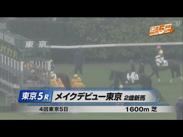 【期限切れ単複馬券】　メイクデビュー東京　ドゥラメンテ　ウマ娘 期限切れ単複馬券】 メイクデビュー東京 ドゥラメンテ ウマ娘