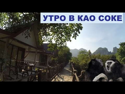 Для непритязательных кошек