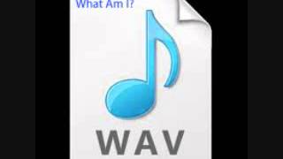 What is a wave file