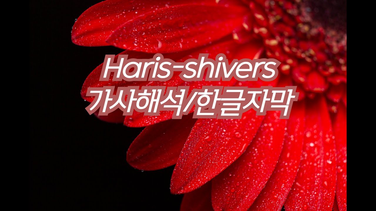 Haris(해리스)-shivers 가사해석/한글자막 [아몬드]