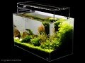 Aquascape Tutorial Guide by James Findley & The Green Machine- Sticks & Stones