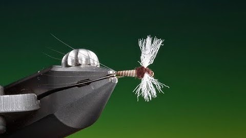 Fly Tying a Ceanis/Trico spinner fly with Barry Ord Clarke