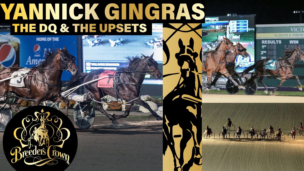 Yannick Gingras - The Upsets & The DQ