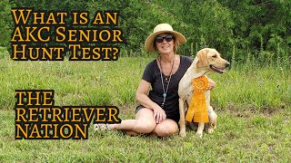 What is an AKC Senior Hunt Test? ~ Find Out What to Expect Here!