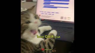 ใครกด Ctrl A วะนุด
