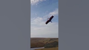 Lidl Gliders
