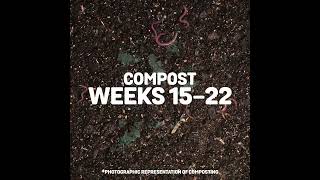 Compostable Bin Bags - Fully breaks down in as little as 90 days