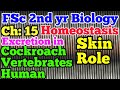 excretion in cockroach | excretion in vertebrates | excretion in human | role of skin | Biology 12