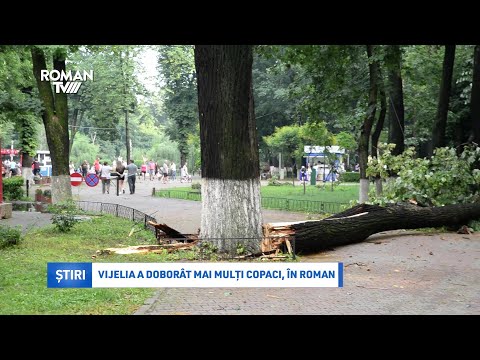 Video: În Statul Washington, O Forță Misterioasă A Doborât Peste O Sută De Copaci Puternici Din Parc - Vedere Alternativă