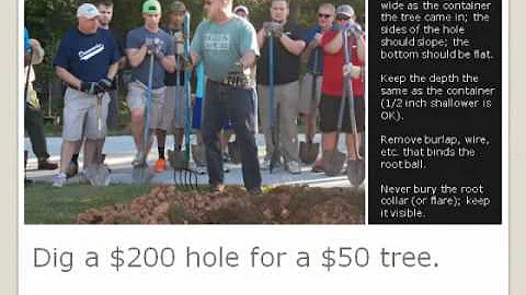 "Lorax' Lesson: Preserving Atlanta's Urban Tree Ca...