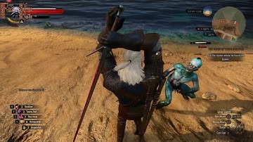 Witcher 3 Difficulty levels