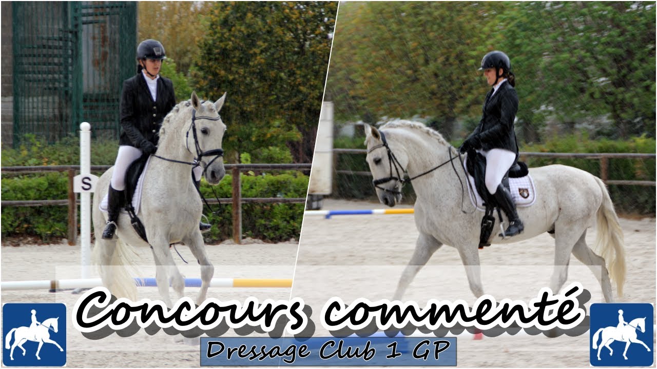 CHEVAUX PLAQUE CONCOURS Hippique Pessac 1975 Moulin Neuf Prix