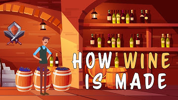 How Wine Is Made