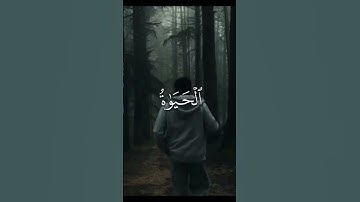 القارئ محمد صديق المنشاوي #viralvideo #اكسبلور #القرآن_الكريم #ايات_قرانيه_قصيره #قرآن #راحة_نفسية