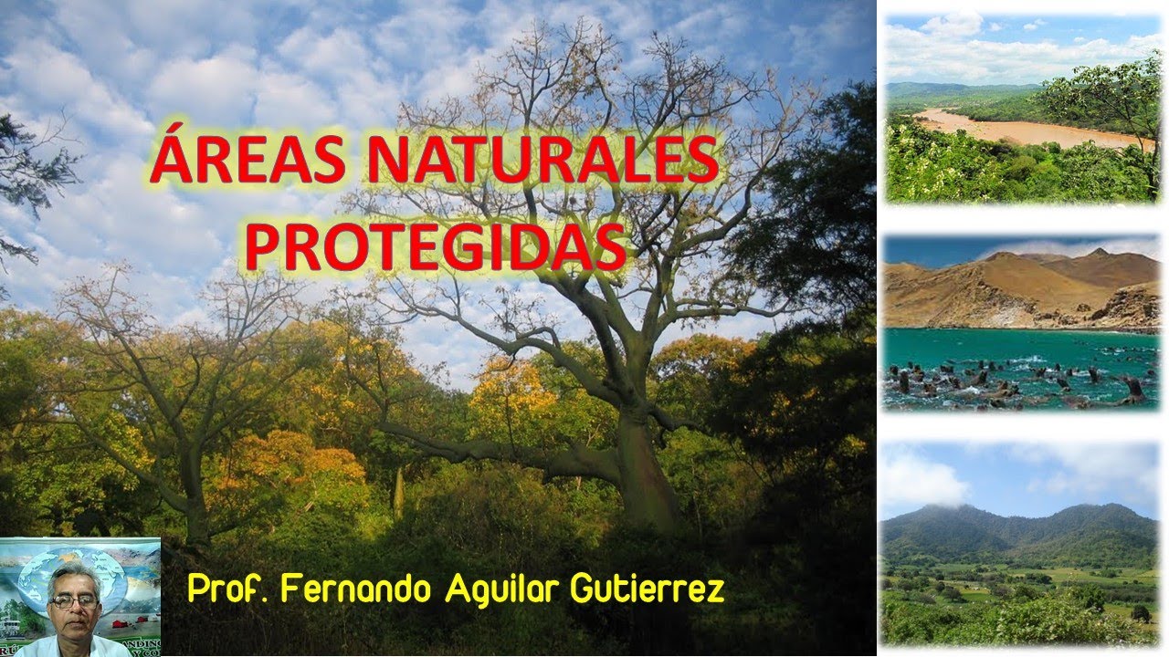 Las Áreas Naturales Protegidas