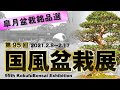 第95回 国風盆栽展　皐月盆栽銘品選 全９作品　95th Kokufu Bonsai Exhibition　Satsuki Azalea Selection