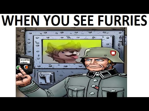furry-memes-v2
